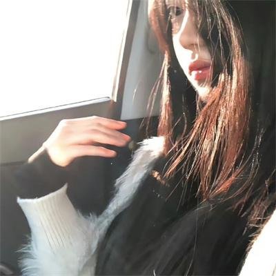 龟甲秘事之拨云见日